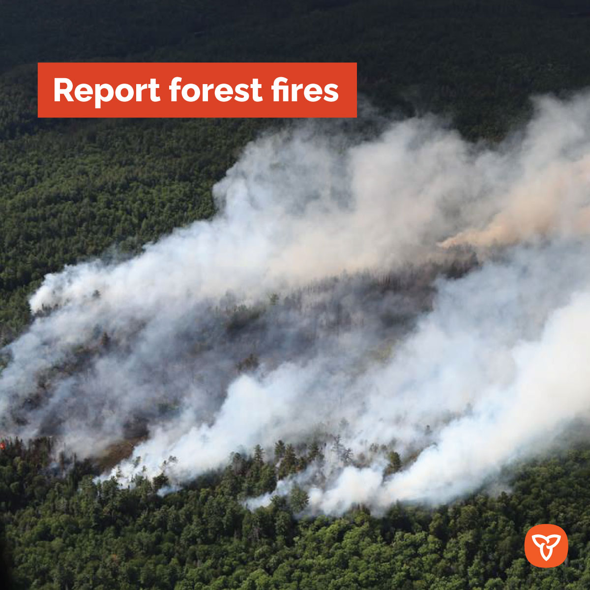 When you see a forest fire, who do you call? If you are north of the French and Mattawa Rivers, call 310-FIRE (3473). If you are south of the French and Mattawa Rivers, call 911. Learn more: ontario.ca/ForestFires @ONForestFires