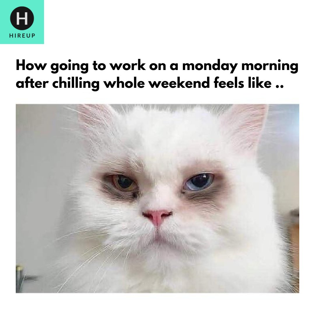 Monday mornings should be illegal 😭
.
.
.
.
#memes #TrendingNow #corporatememes #officehumour #officememes #workmemes #mondayblues #MondayMorning