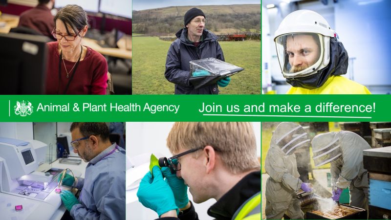 Do you want a role safeguarding standards of animal and plant health and welfare? We have 2 Technical Advisor roles based at various locations in Scotland. Salary: £32,136 - £34,546. Deadline: 11:55 pm on Tuesday 28th May 2024 Find out more and apply: bit.ly/4dDfcNp