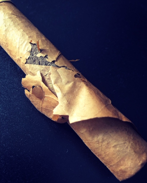 Do you think this cigar is worth trying to save? What would you do? Smoke it or toss it? #cigar #cigars