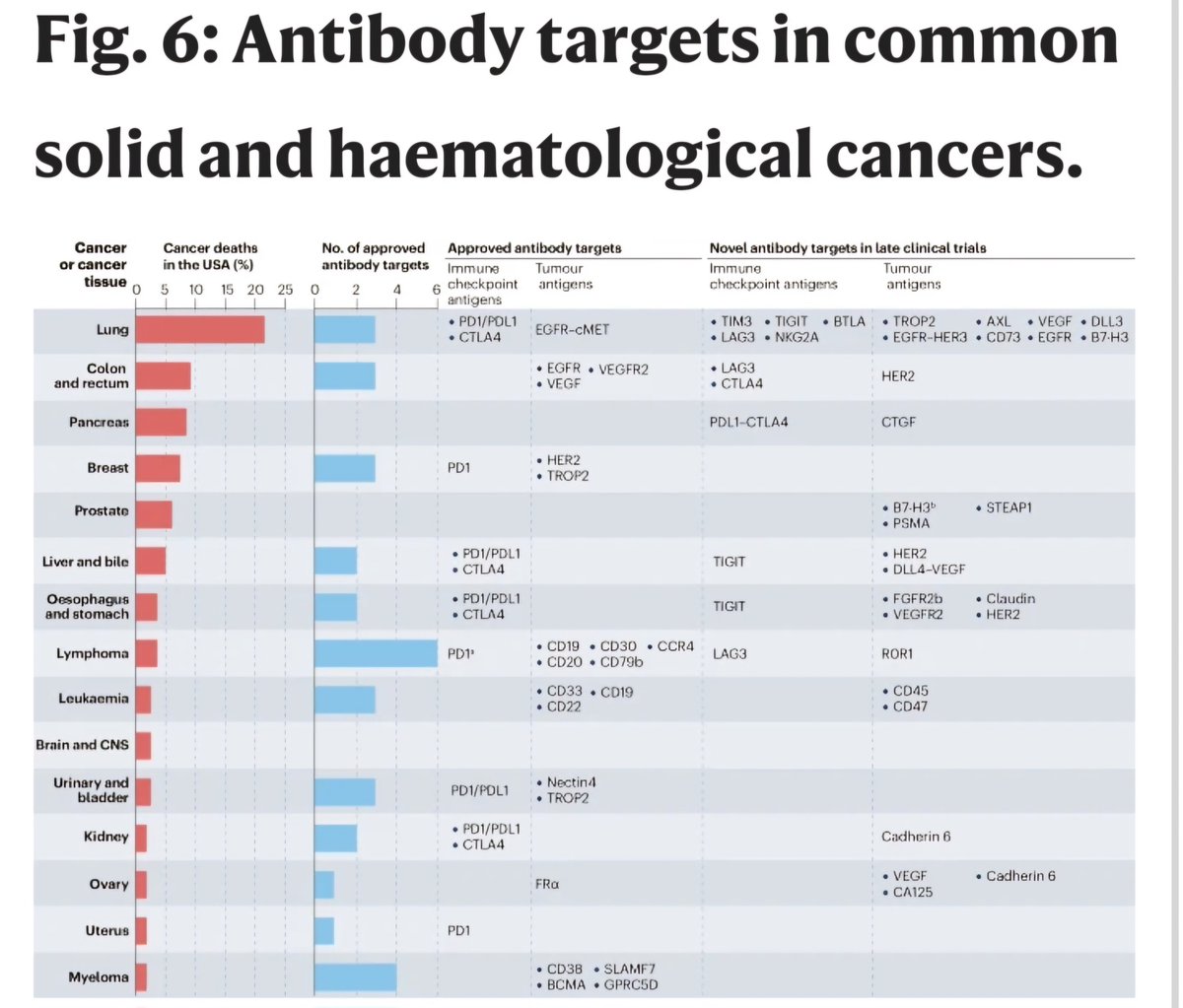 Cancer therapy with antibodies An excellent review providing a comprehensive overview of therapeutic antibodies used in cancer treatment👇 @OncoAlert nature.com/articles/s4156…