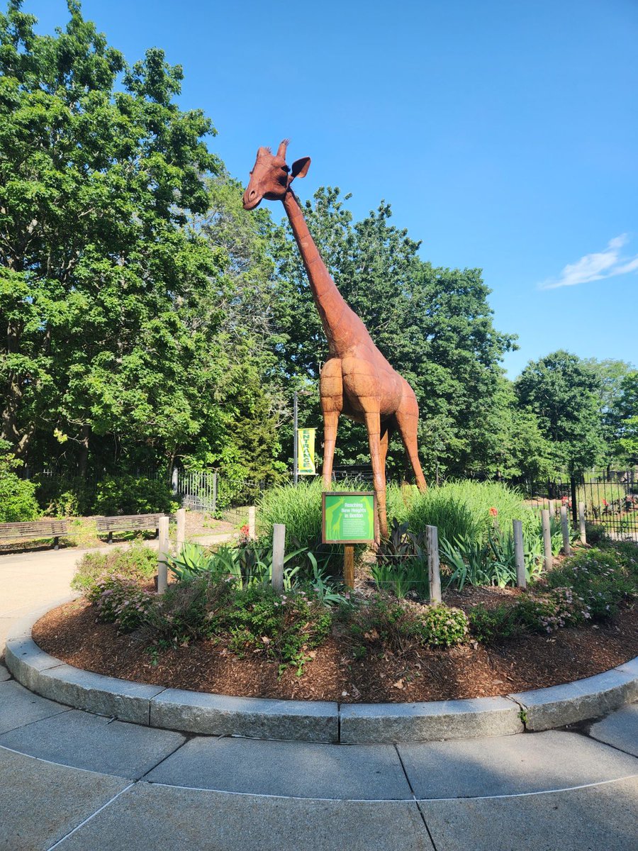 A note to our guests: Parking at Franklin Park Zoo's Giraffe Entrance on Pierpont Road will not be available May 13–15. Please park by our Zebra Entrance located off Blue Hills Ave.