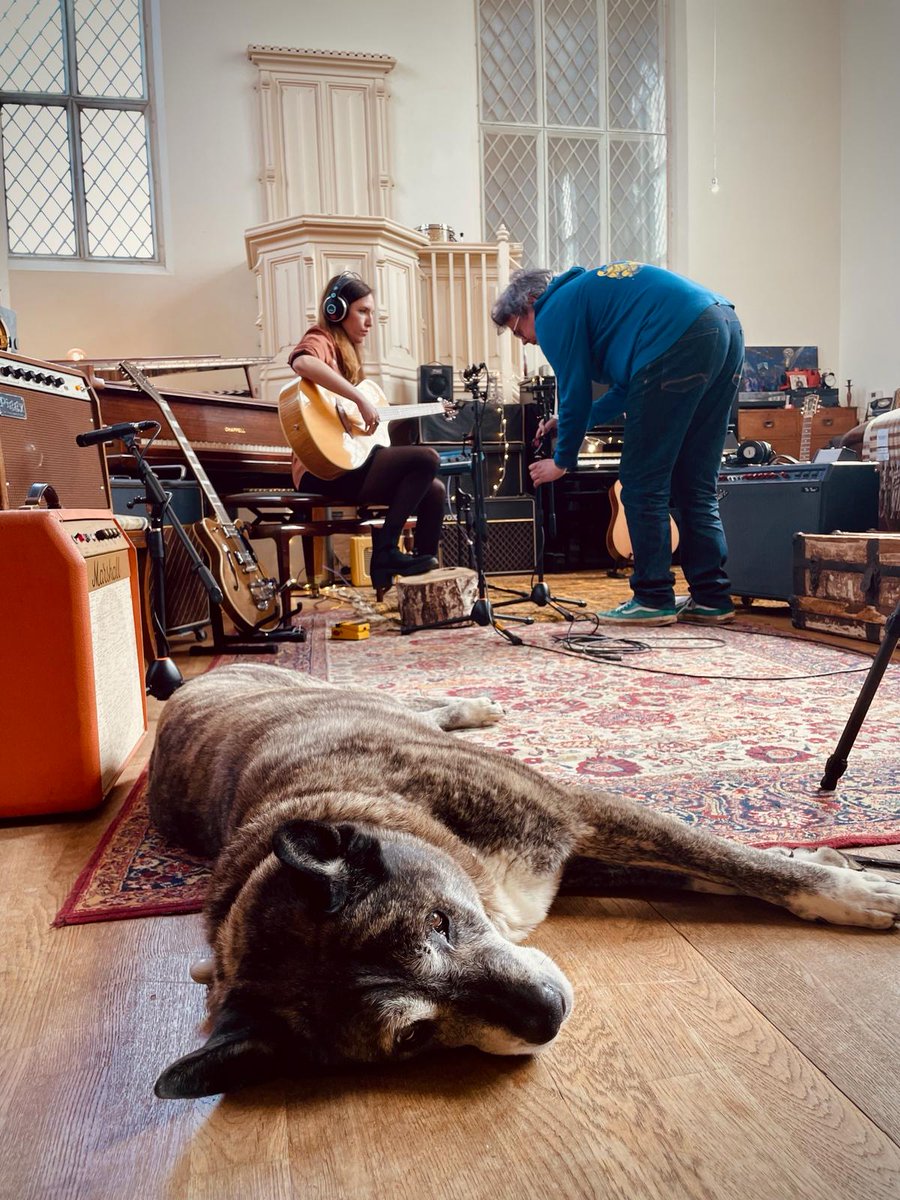 Recording a few songs at Grand Chapel Studios with gentle giants listening. Shirley Folks Club this Wed and Crick Boat Show 25th May! #blueplanet #josiefield