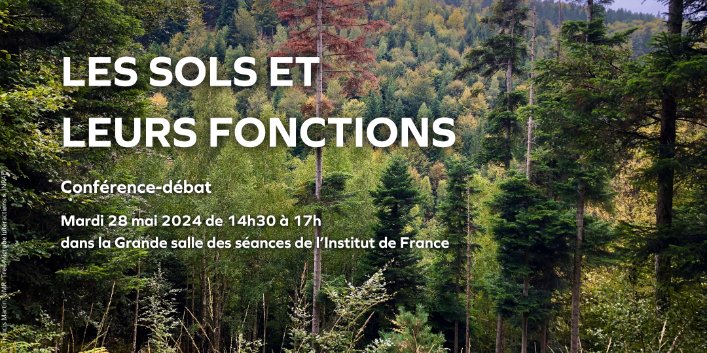 Ne manquez pas la #conférence-débat : « Les sols et leurs fonctions » 🌱 📅 Mardi 28 mai 2024, de 14h30 à 17h15, à l'@InstitutFrance Découvrez l'importance des sols, véritables écosystèmes essentiels à notre environnement. 👉 Inscription obligatoire : urls.fr/sOoILL