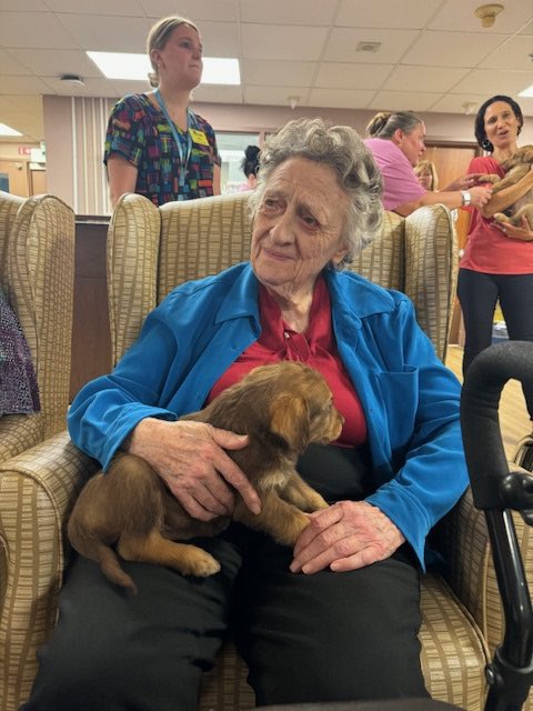 HHHSCares's tweet photo. Absolutely adorable alert!! 🚨🚨🚨

Could this be any sweeter?
Thank you to Kristyn at Snowflake Meadows Rescue for bringing nine sweet puppies to Highland Wood to visit staff and residents. 🐶 

As you can tell by the smiles and snuggles, there will be more visits in the future! https://t.co/m1IRchNYR6