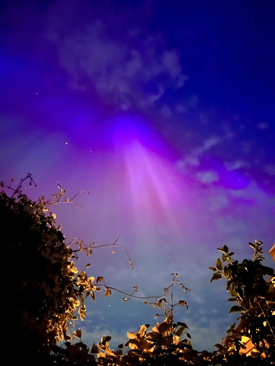 _JulieJohnston's tweet image. More garden pics of Friday/Saturday’s  Northern Lights with clematis.  Why not 🤷🏻‍♀️
#Ashington
#Northumberland 
#workwithwhatyouhave