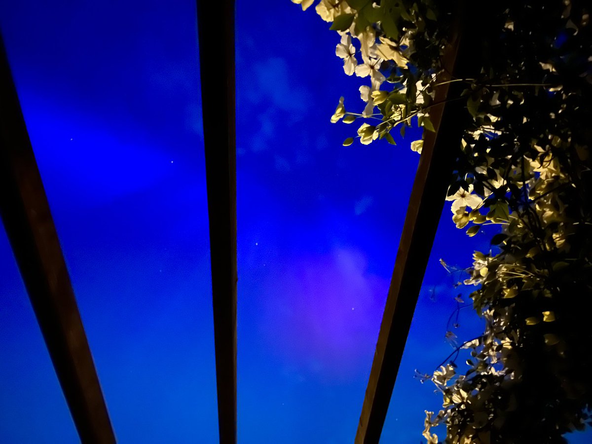 _JulieJohnston's tweet image. More garden pics of Friday/Saturday’s  Northern Lights with clematis.  Why not 🤷🏻‍♀️
#Ashington
#Northumberland 
#workwithwhatyouhave