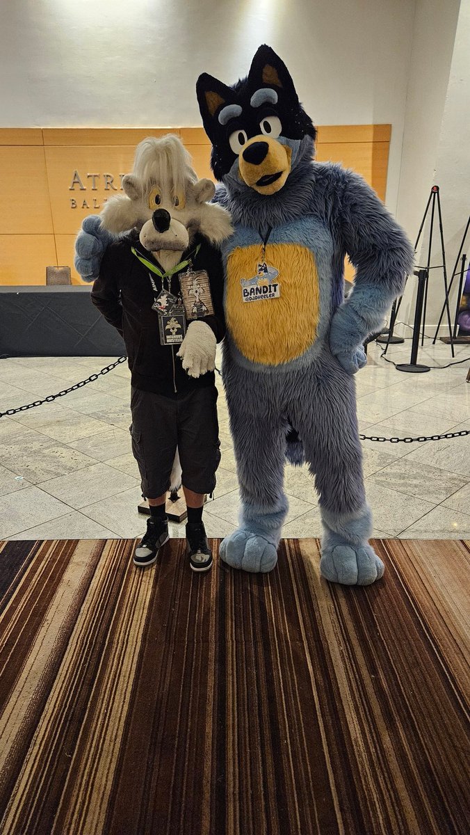 MikachuTuhonen's tweet image. Was able to meet @BearWitGlasses , @Adler_the_Eagle  and @DadHeeler  at
#FWA2024 #FWA24 

Thank you!! ❤️