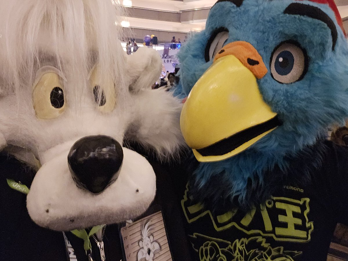 MikachuTuhonen's tweet image. Was able to meet @BearWitGlasses , @Adler_the_Eagle  and @DadHeeler  at
#FWA2024 #FWA24 

Thank you!! ❤️