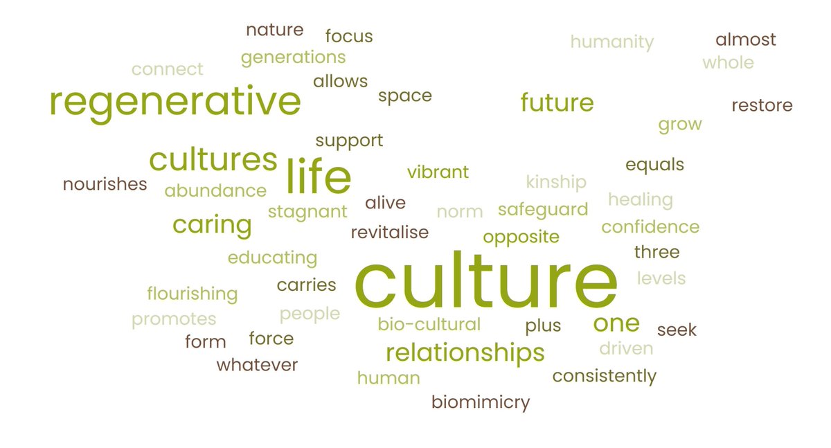 Three weeks ago a wonderful beginning on the first module of 'Co-Creating ReGenerative Cultures'  The image is a cloud generated from participants initial reflections on 'What is a Regenerative Culture?'  Find out more via my newsletter  buff.ly/3SEyiui
