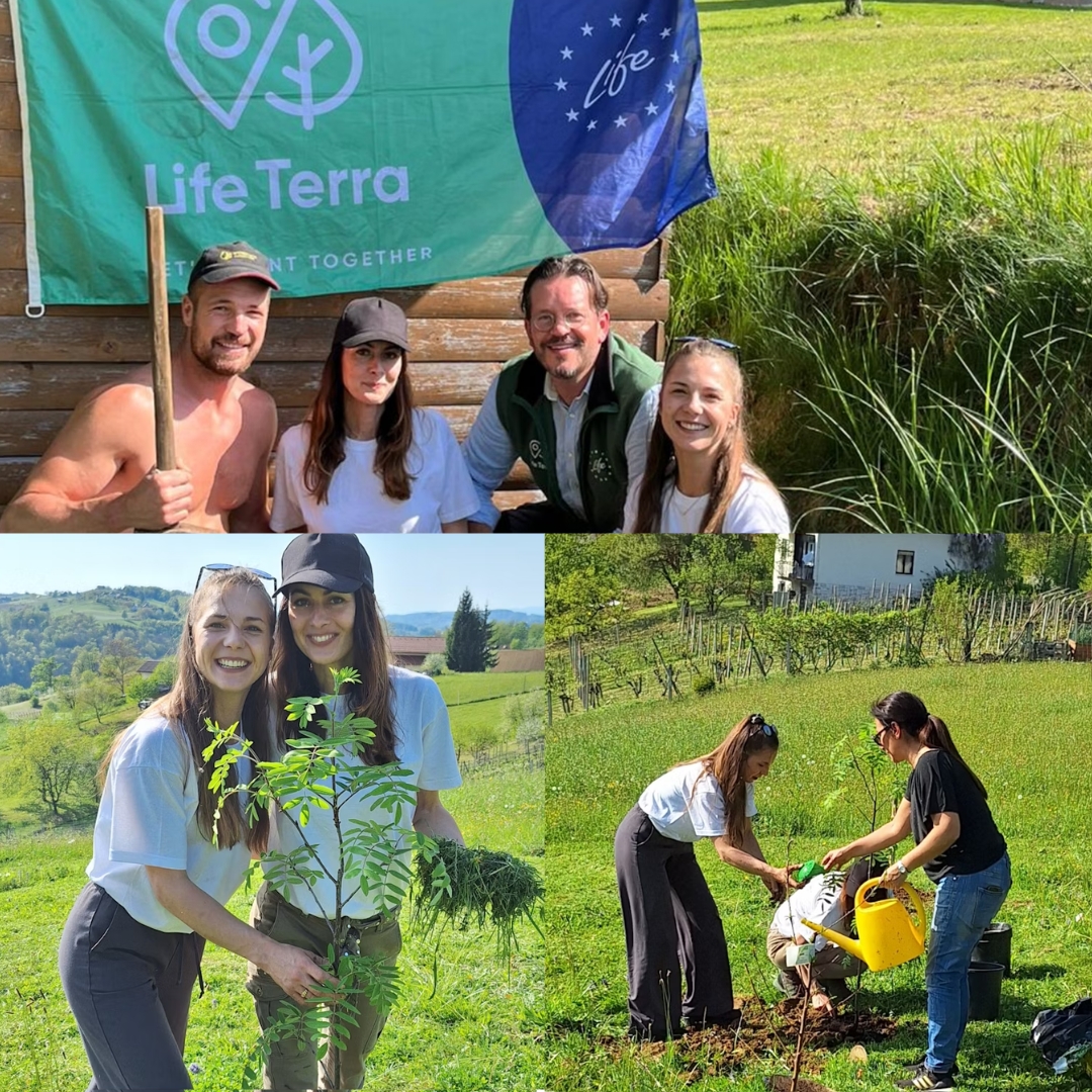 🇸🇮 Slovenia occupies third place in the ranking of the most forested countries in #Europe. But we and our friends at the #GreenGaiaFoundation always want to do more for our environment. That is why we have come together to plant even more new trees.