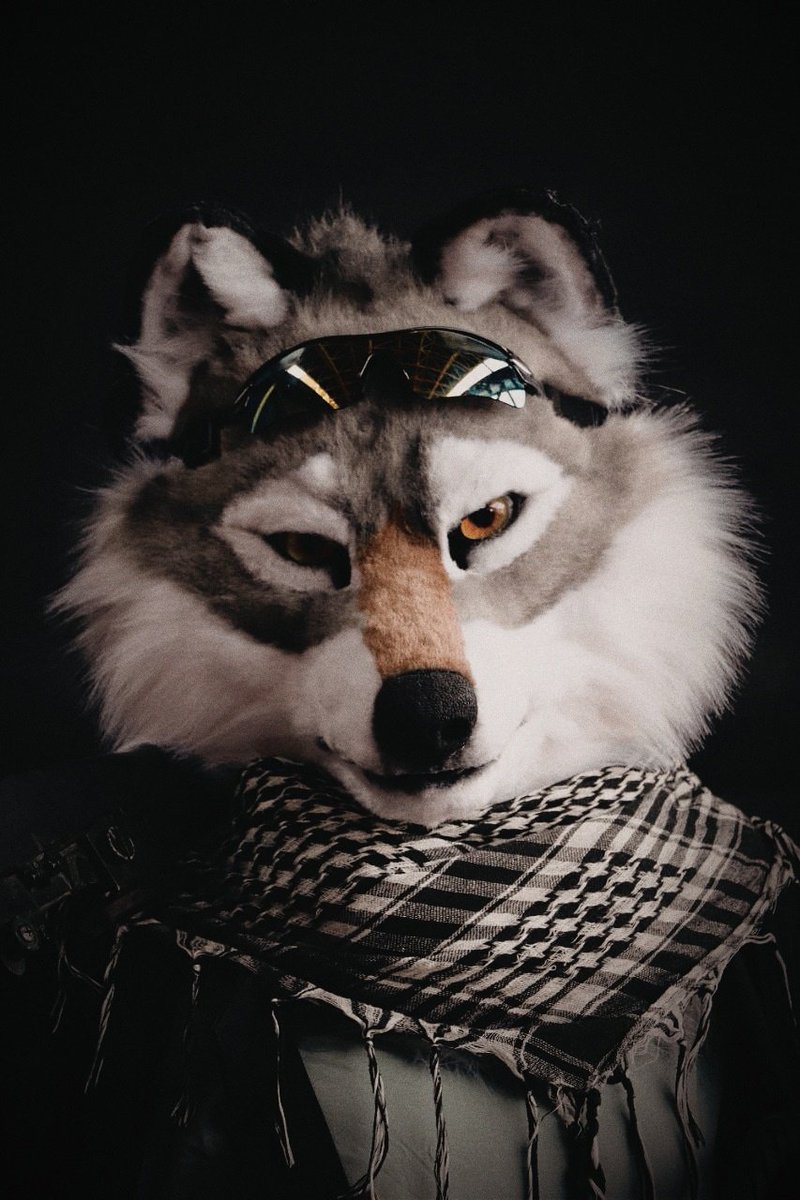 woof in postapocalypse
#fursuit made by my hands