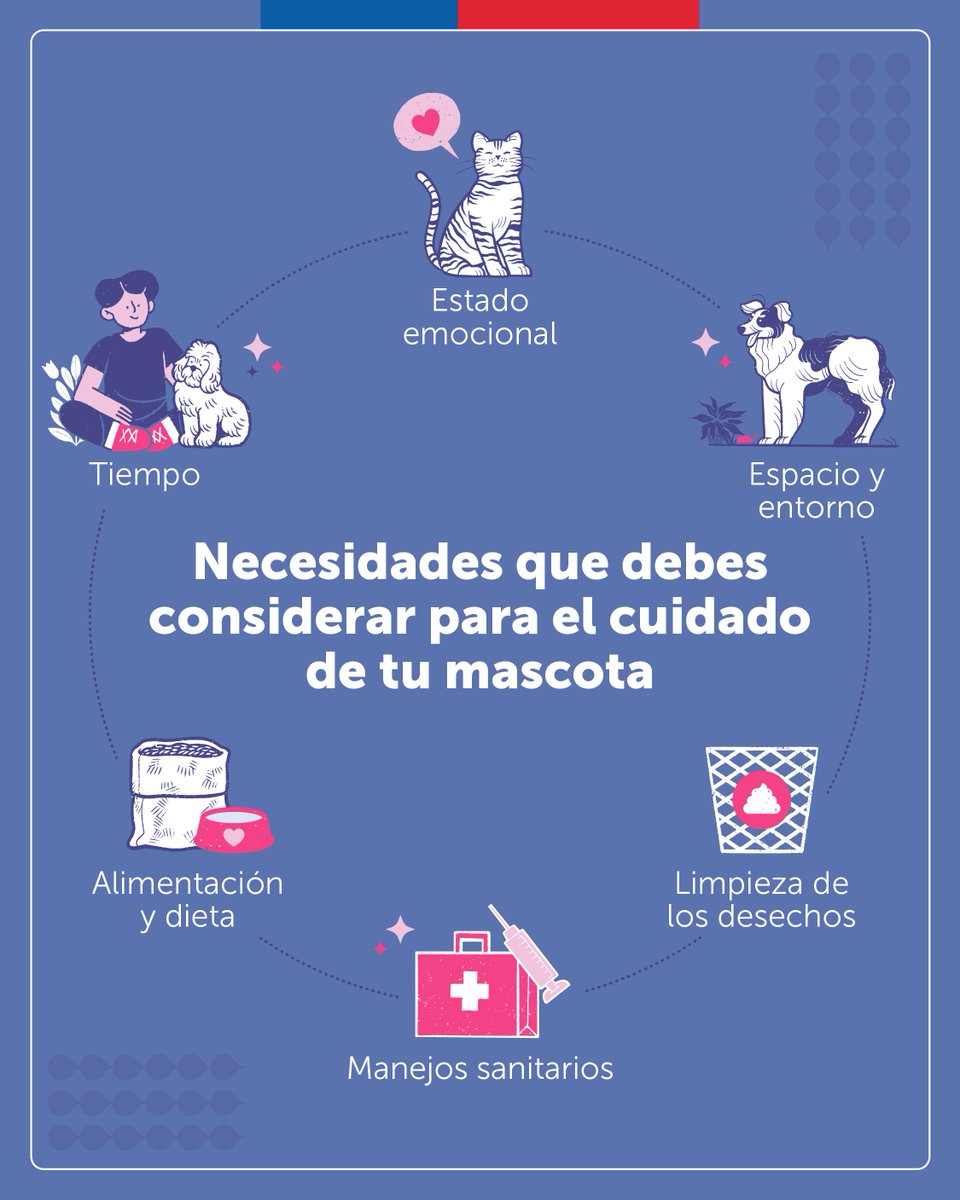 Tu mascota depende 100% de ti y de los cuidados que le entregues 🐱🐶🏠. Aquí te dejamos los seis elementos para una tenencia responsable 💜 ¿Cuál otro agregarías?