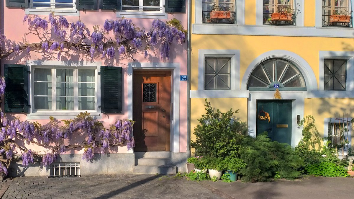 Farbenfrohe Fassaden und blühende #Natur in der Maisonne am Oberen Rheinweg in #Kleinbasel 🌻 #basel #mai #pflanzen
