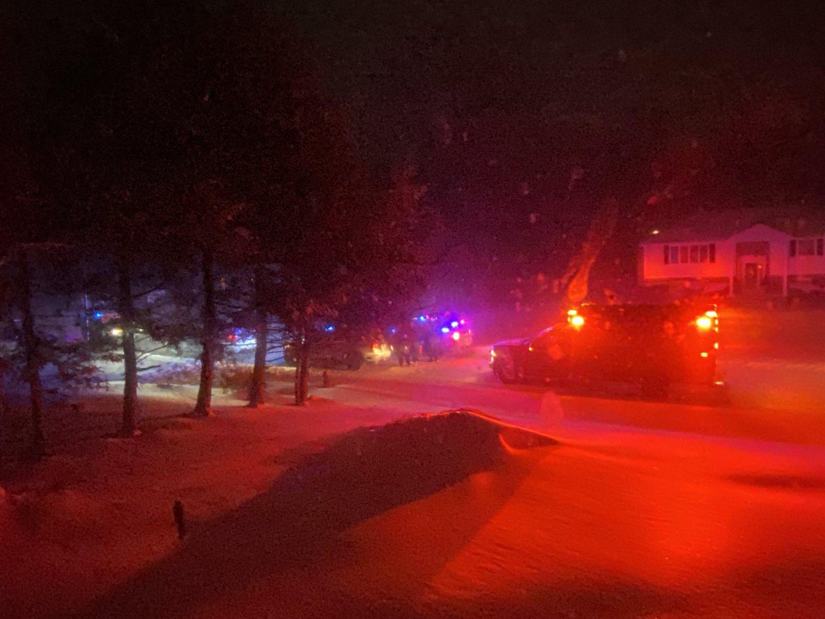 DoctorTurtleboy's tweet photo. Brian Albert said he didn't wake up when a screaming lady and first responders were all over his yard. He also wants us to believe his aggressive dog, which was in his room and had 2 windows looking outside, wasn't barking. But it woke up the neighbors at 32 Fairview Road and this is what they saw.