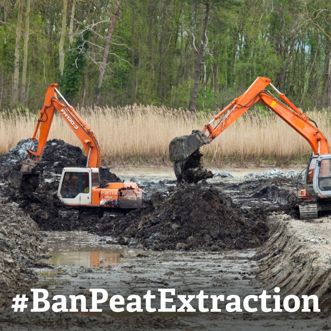 Dear @Conservatives, please keep your promise to ban the sale of horticultural #peat this year. Support Theresa Villiers' Members Bill this Friday! #BanPeatExtraction #BogsNotBags @pow_rebecca @RishiSunak @SteveBarclayMP1