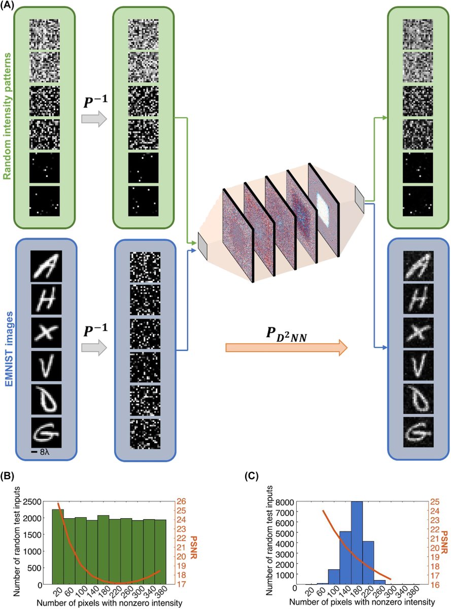 Diffractive interconnects: all-optical permutation operation using diffractive networks #neuralnetworks #opticalcomputing degruyter.com/document/doi/1…