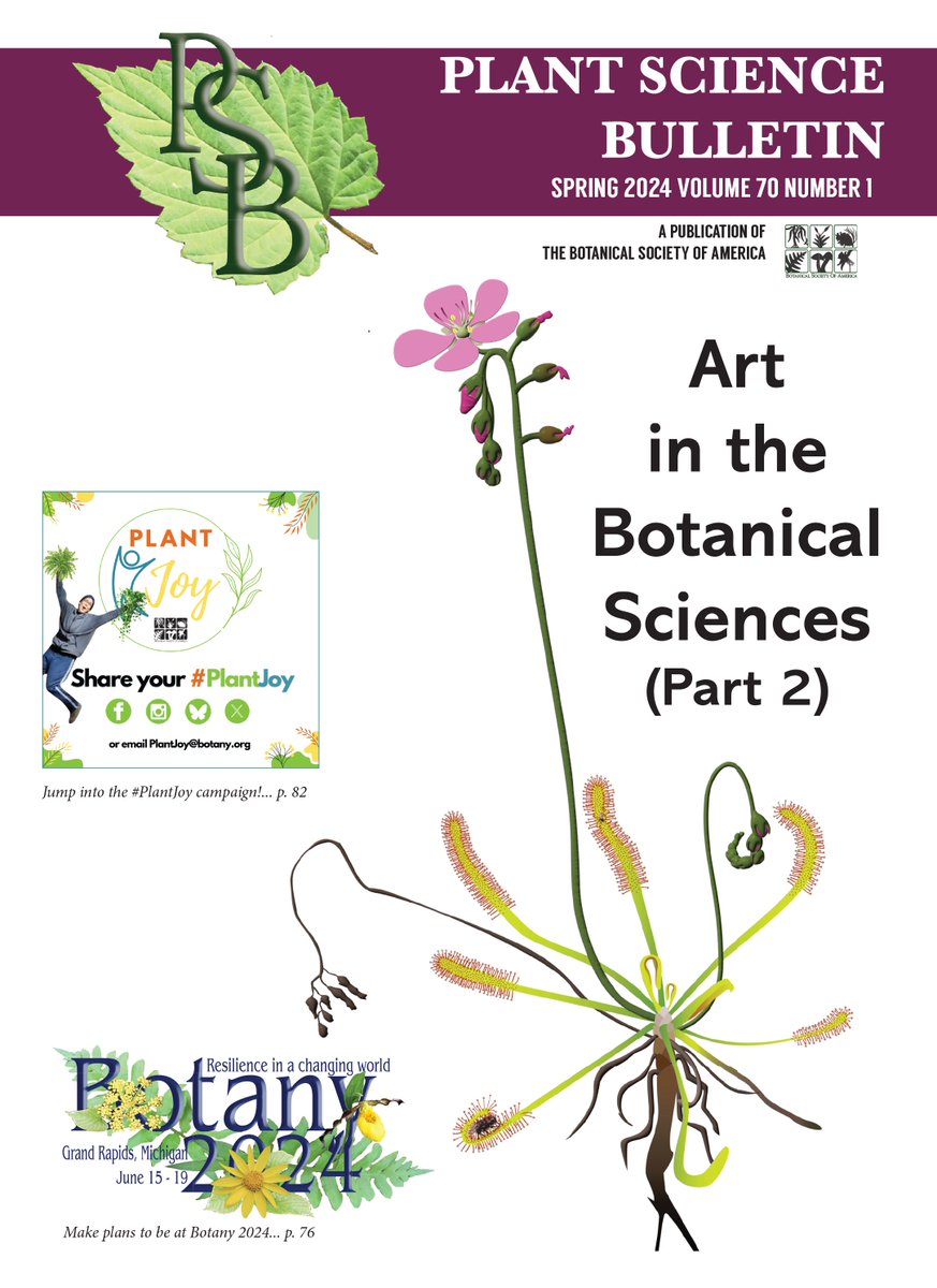 We're THRILLED to have just published Part 2 of the #PlantSciBull's Art in the Botanical Sciences special issues---featuring 15+ #sciart-themed articles from a wide variety of botanists & artists! PDF version: bit.ly/4dC5I5e Flipbook version: bit.ly/4b6kjEl