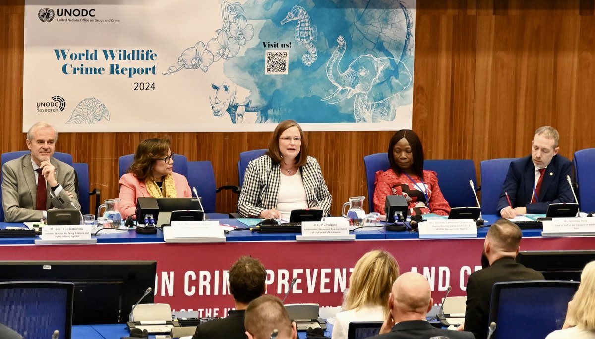 Today at #CCPCJ33 side event to launch the third @UNODC World Wildlife Crime Report: “The 🇺🇸 is committed to combatting wildlife trafficking. Only by working together can we effectively tackle wildlife crimes.” – #AmbHolgate #WildlifeTrafficking