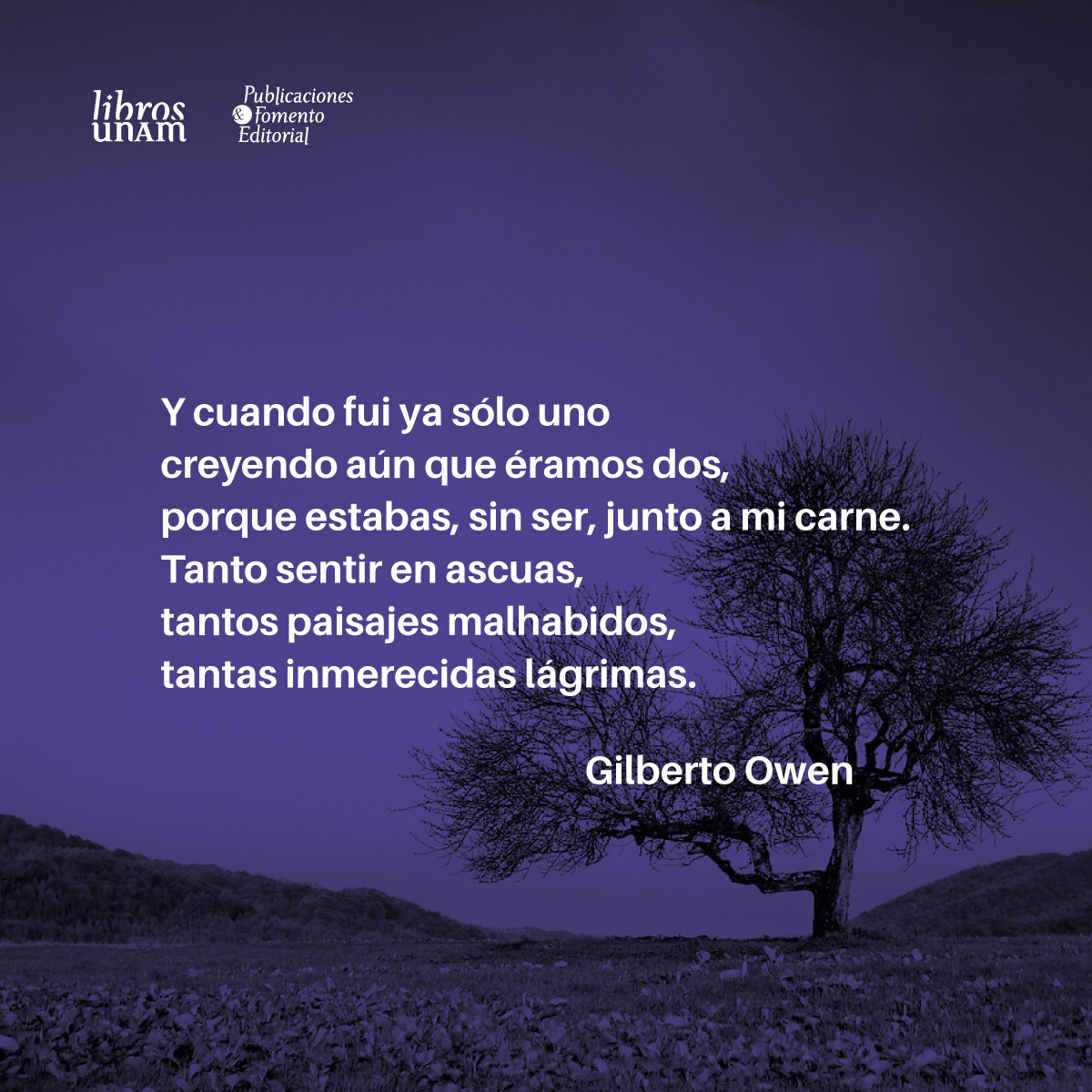 🥳Celebramos los 120 años del natalicio de Gilberto Owen, escritor mexicano que formó parte del grupo Contemporáneos.📝 «Novela como nube» y «Perseo vencido» son algunos de sus libros más emblemáticos. 🎊 Lo conmemoramos con algunos de sus poemas. ➡️ bit.ly/3V5MD4A 📚