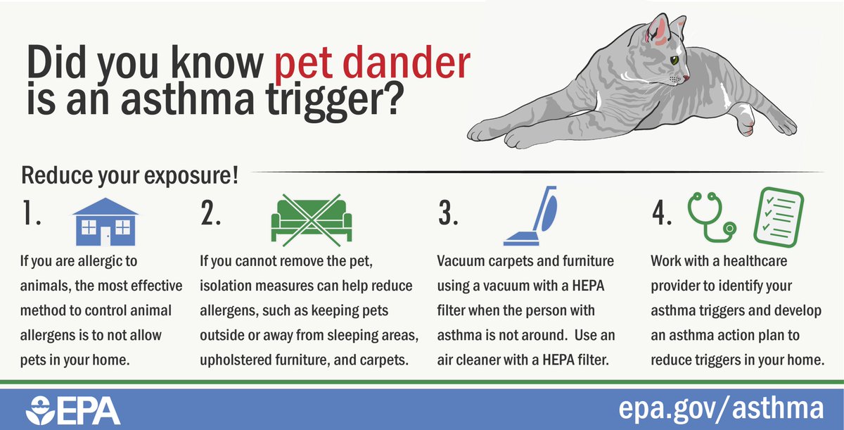 Pet dander, (from skin cells shed by animals with fur or feathers) can trigger #asthma in people with a pet allergy. Best way to manage an allergy to pet dander 👉 minimize exposure and avoid contact. #cantonhealth #AsthmaAwarenessMonth #asthmatriggers