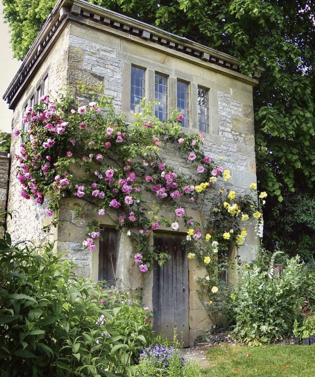 Rambling roses...ramble on 
• Haddon Hall, Derbyshire, England