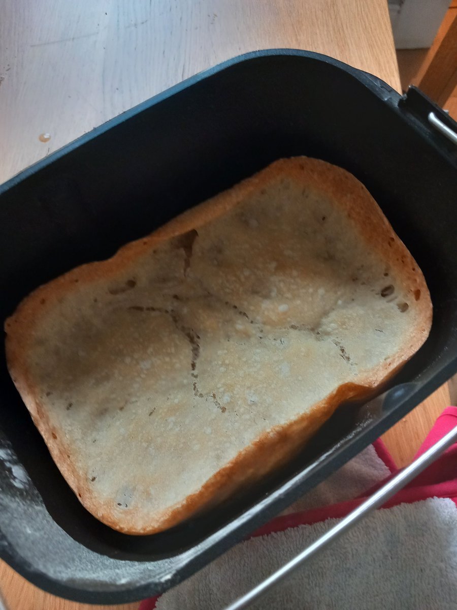 maureenmyant's tweet image. The weapon in my next novel revealed for the first time in all its threatening glory. #breadmaking #failure