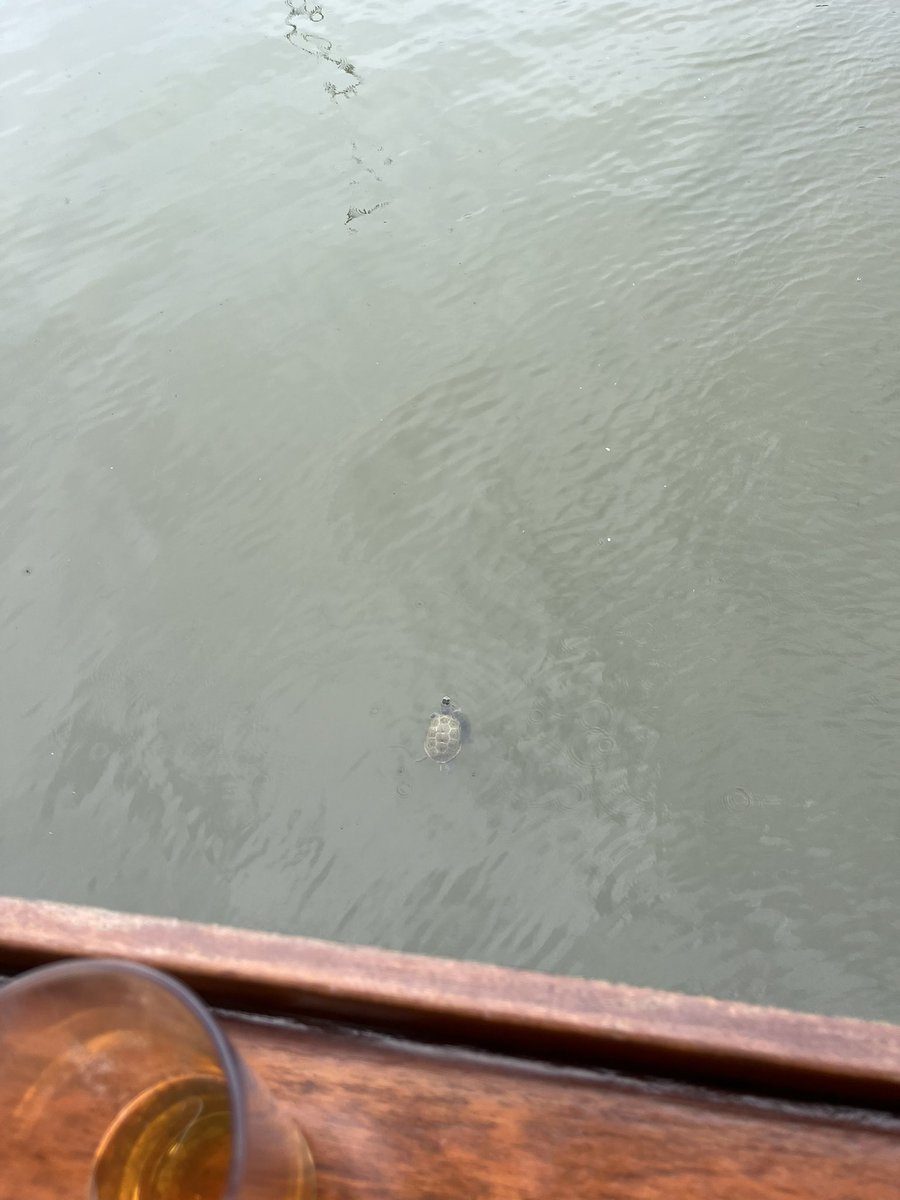 This dude keeps asking me for a plastic straw. Should I give one to him?