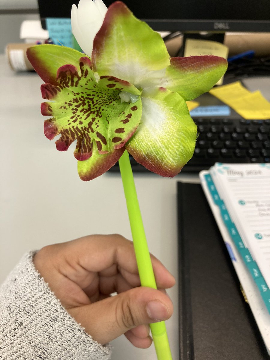 When even the cleaning staff <a href="/UTHealthHouston/">UTHealth Houston</a> give you a flower for graduation 🥰