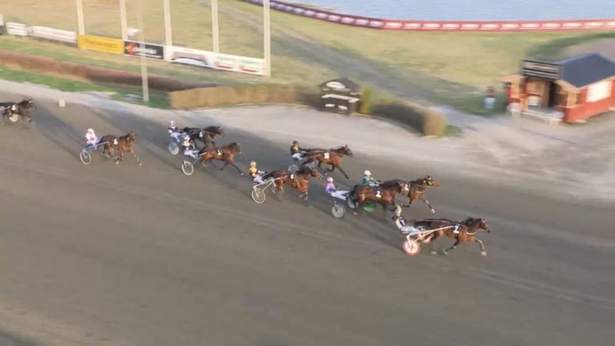 Dubbel Flocki på Dannero! VIKING LANE avgör i ett rivigt långlopp.🥇 MUSCADELLE helläcker i sin svepning efter galopp i första sväng!🥇 William Strand och Linus Lönn satt i jollarna. Patrik Gidlund och Thomas Lönn har gjort jobben med hästarna. Grattis ägare och uppfödare!🥂