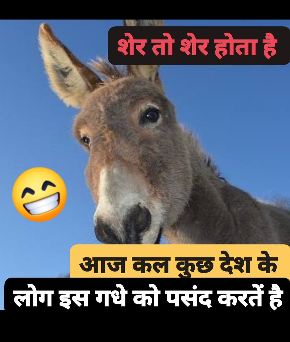 Aryan2Rajesh's tweet photo. इसे राजनीति से ना जोड़े।।।लेकिन कॉमेंट में बताएं ऐसा क्या है इस गधे में https://t.co/6b9fpkEIff