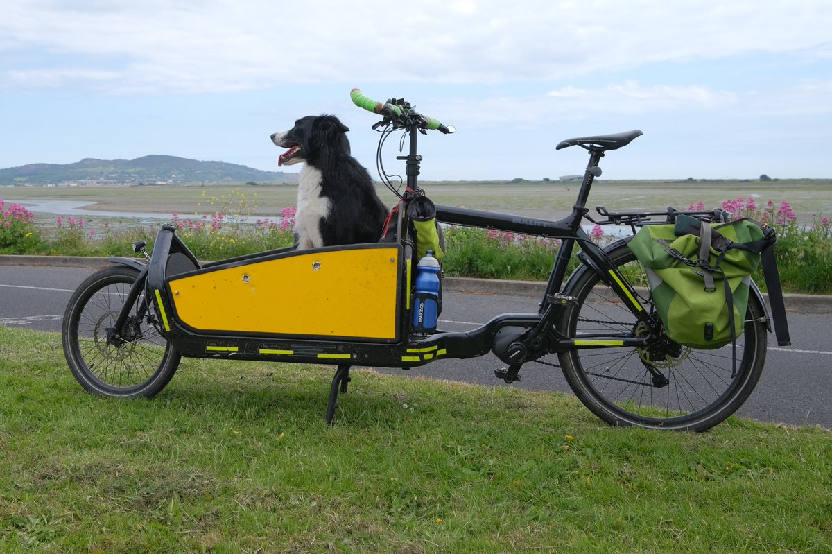 Electric Bullitt cargo-bike stolen from inside house the night of Sat 11 or Sun 12. Harmonstown area. Extra battery also taken. 1st 3 photos are of bike when new, the last photo shows bar-ends & reflective decals that are now on it. The bike was without a saddle when taken.