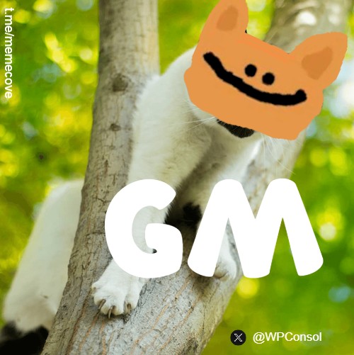World Peace Cat tweet media