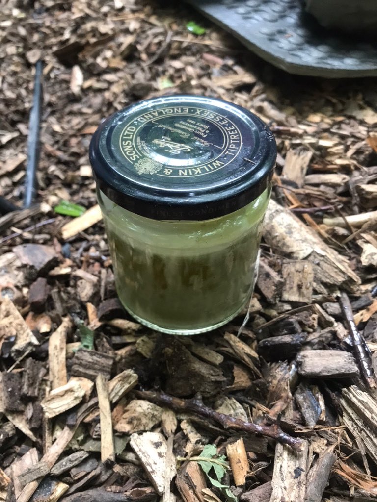 Plantain balm making today at #ForestSchool #OutdoorEdChat