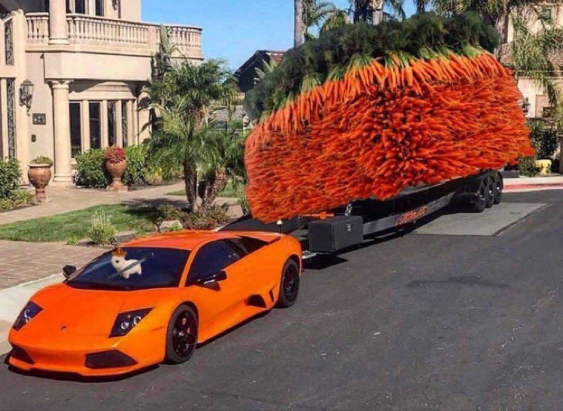 Drop the address

$buni sending some carrots to you 

I will give $6000 worth of buni

$1000 when  buni reaches 5m mcap 

Then $1000 more at 6m
$1000 at 7m
$1000 at 8m
$1000 at 9m
$1000 at 10m

Total $6000. To lucky ones who likes and retweets this and comment their SOL address