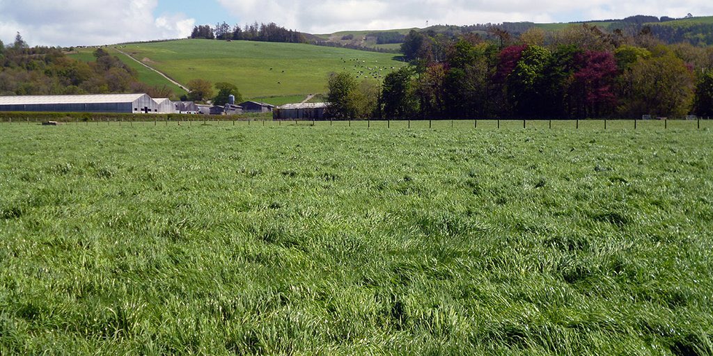 Gwyliwch @Ffermio heno am 9 i gael rhagflas o'r Digwyddiad Glaswellt a Thail Cynaladwy ar fferm @TrawsgoedFarm i'w gynnal ar 30 Mai Watch @Ffermio on @S4C tonight at 9pm for a preview of the Grassland and Muck Event to he held on @AberUni farm on 30 May