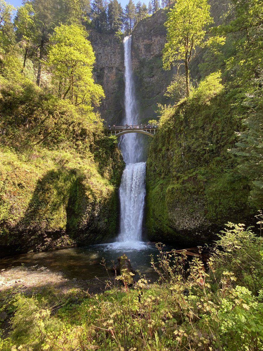 Have any #pnwadventures last weekend? ☀️One of the greatest things about #pnwliving is adventure isn’t far away! 💦Have you been to #multnomahfalls just 30 minutes outside of Portland? 🚘Add it to your #pnw #summerbucketlist and enjoy the Columbia Gorge outlets when you head