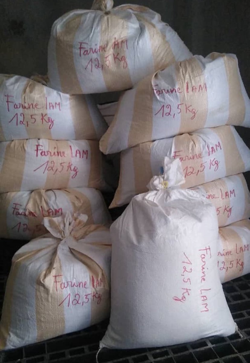 Le @WFP_Haiti vient de réaliser son premier achat de ‘farin lam’ farine de l’arbre véritable! 

2 tonnes du produit, riche en vitamines, sera distribué dans les cantines de 32 écoles en Grand’Anse. 

L’achat a été réalisé auprès d’un fournisseur appuyé par @ilo .