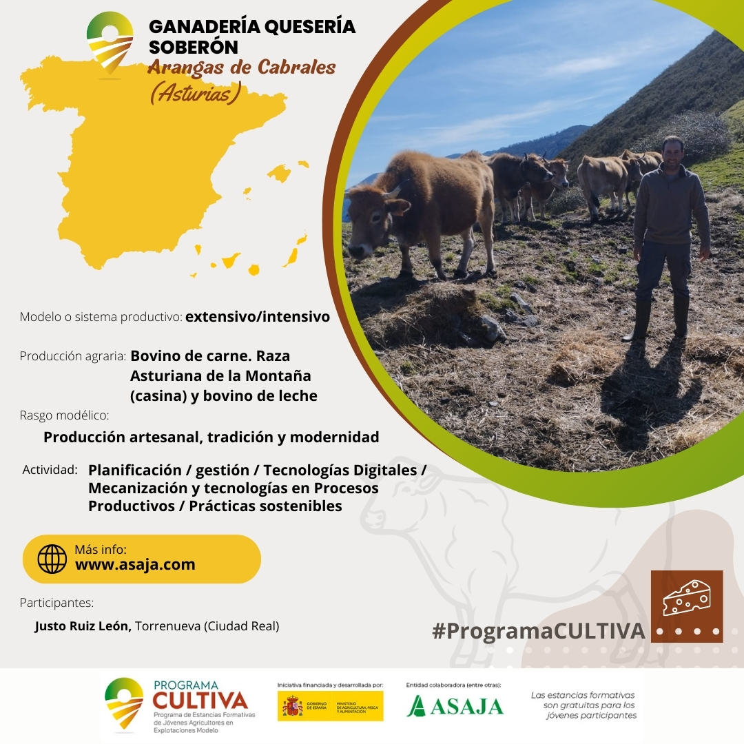 Justo Ruiz, de #CR, que repite este año la experiencia del #ProgramaCULTIVA, visita la Ganadería quesería #Soberón en 📍#ArangasDeCabrales (#Asturias)

+sobre su estancia 👉 ow.ly/A5Ts50REPml
👉 ow.ly/GWBy50REPmk @mapagob
@asajacr @asajaasturias #ASAJAProgramaCULTIVA