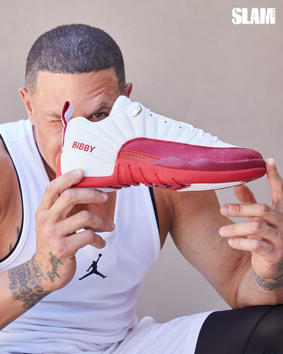 jordan 12 mike bibby