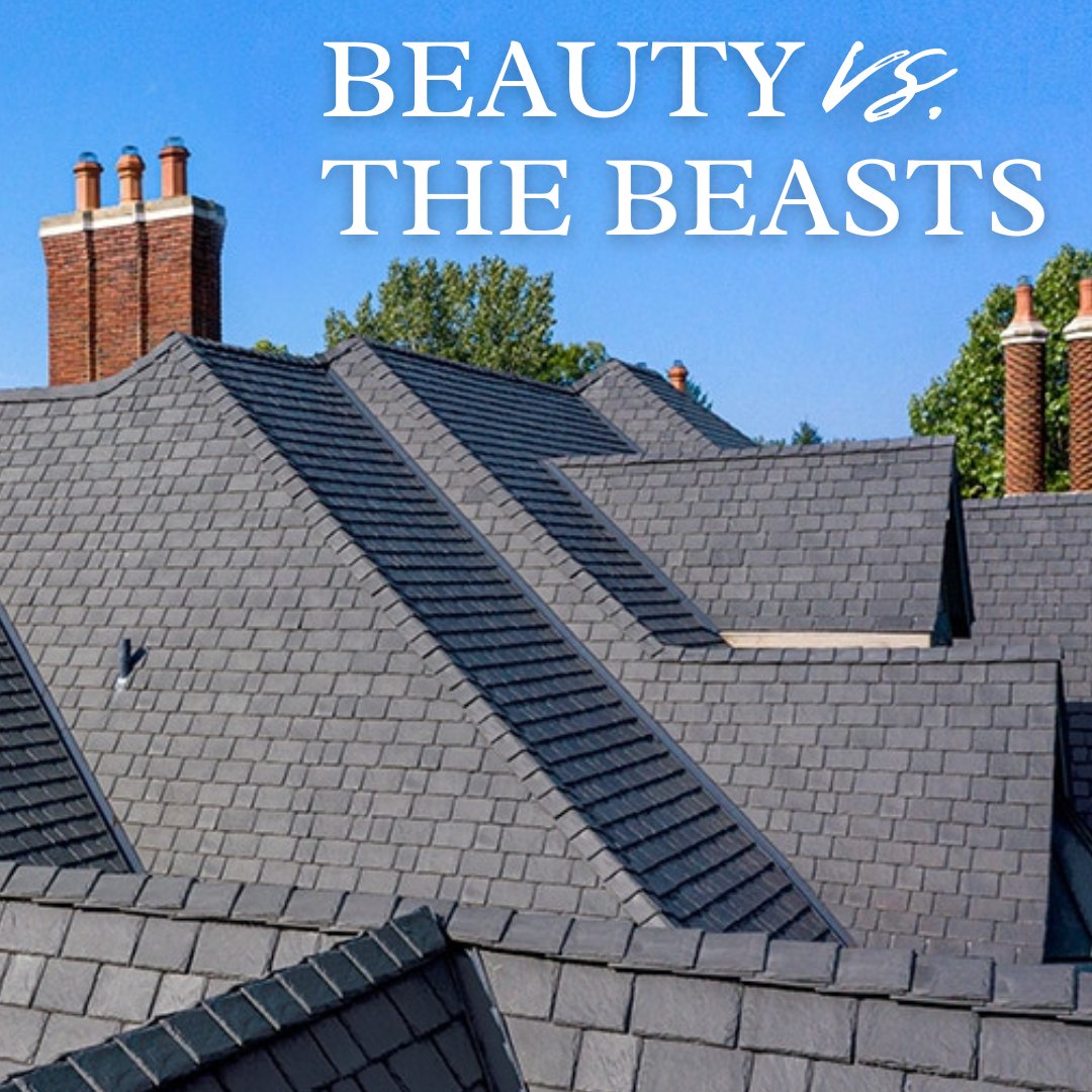 Did you know? DaVinci ensures top-tier protection from fire, hail and even hurricanes, thanks to a proprietary formula, the finest virgin materials, and manufacturing processes perfected over more than two decades. 

Discover the genius behind the beauty! bit.ly/43A9S94