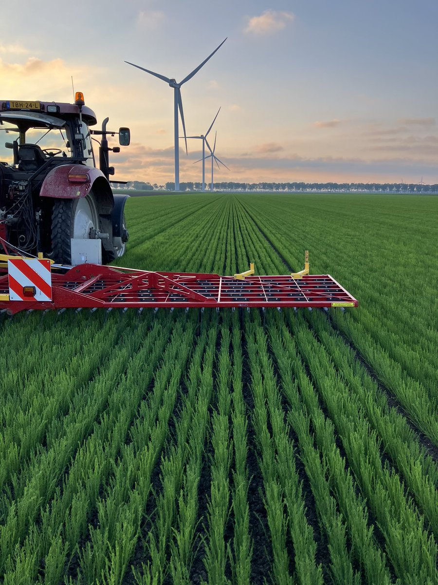 ChrisDeGroot16's tweet photo. Een drukke week achter de rug waarin veel werk is verzet!
De voorgekiemde twisters van @sayagrico hebben na twee dagen in de grond de gang al te pakken.
#groeizaamweer https://t.co/Uq3u7a5RV8