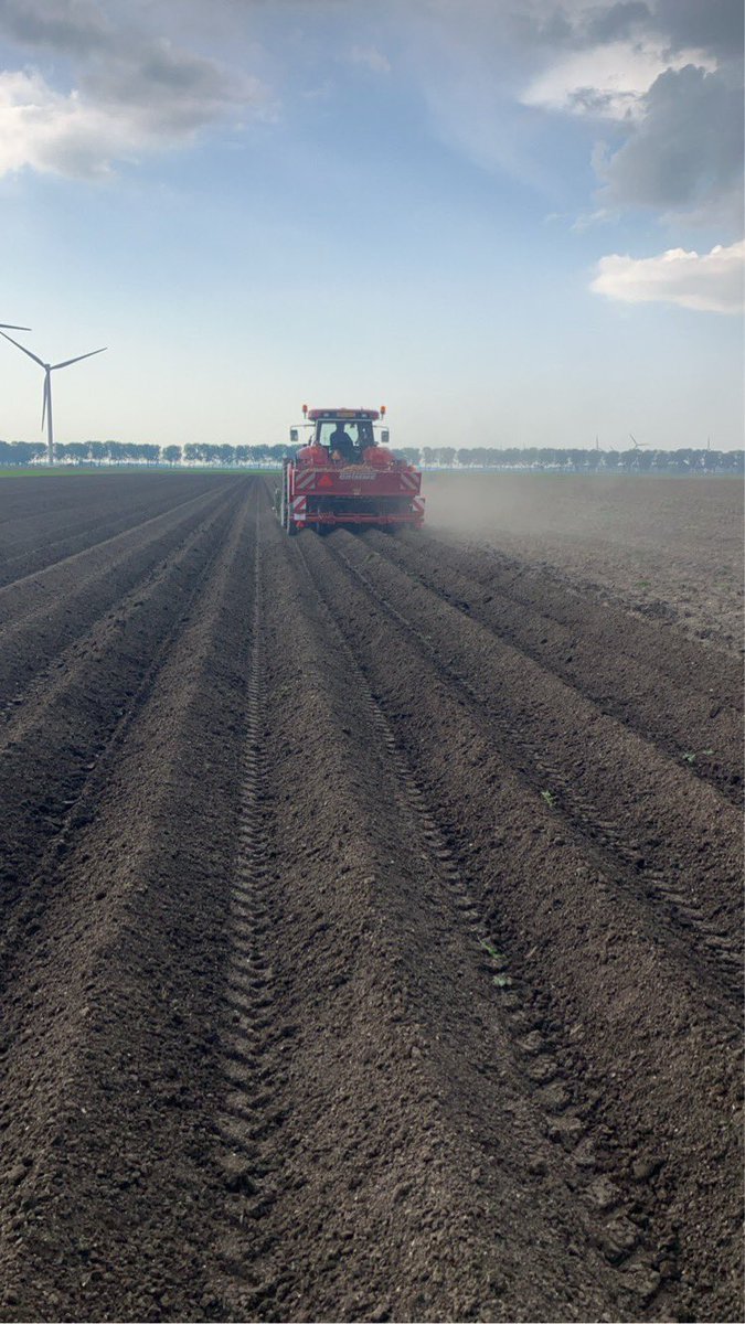 ChrisDeGroot16's tweet photo. Een drukke week achter de rug waarin veel werk is verzet!
De voorgekiemde twisters van @sayagrico hebben na twee dagen in de grond de gang al te pakken.
#groeizaamweer https://t.co/Uq3u7a5RV8