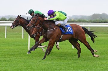 🥇WINNER🥇 LADY O wins the @irishebf median sires series maiden on her debut 🏆 A poignant victory with her being named after her late and dearly missed breeder Mrs Lady O’Reilly ⚫️⚪️🔵 Congratulations to her owners @ItsAllAbttheGrl 🥂🟢🟣 Ridden by Shane Foley 👏