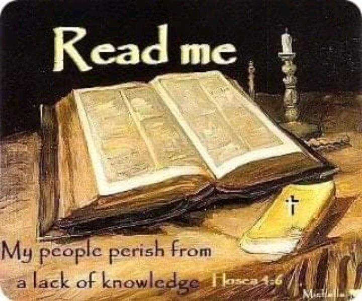 My people are destroyed for lack of knowledge: because thou hast rejected knowledge, I will also reject thee,....   🌿🕊️

~~~ Hosea 4:6  KJV