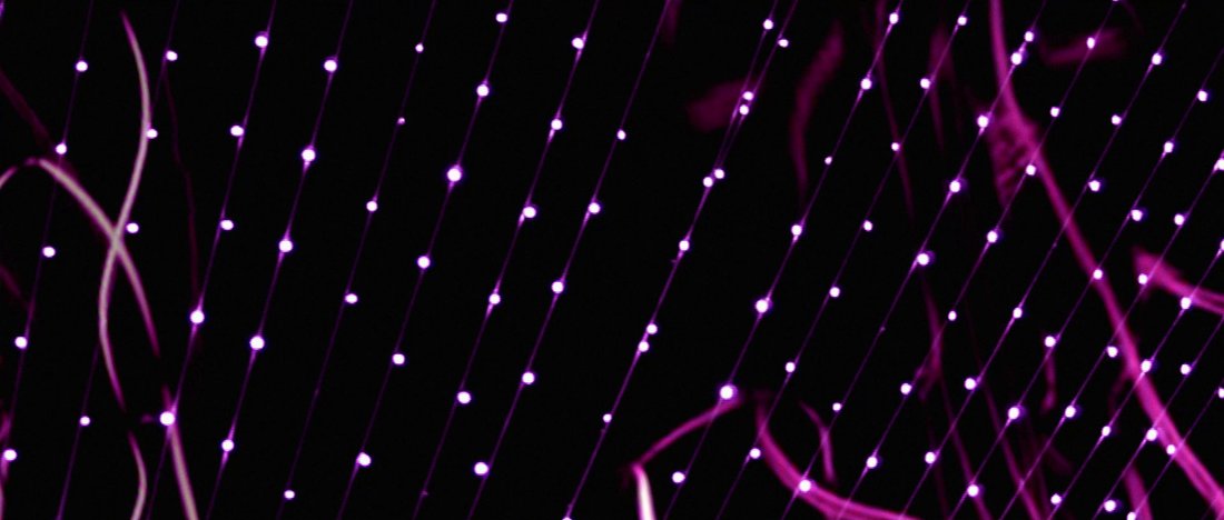 L.B. Film tweet media