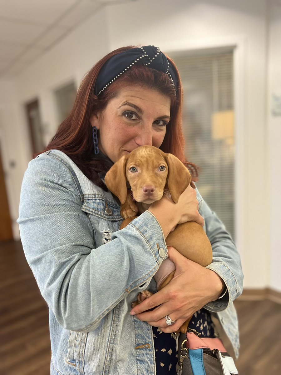 MarylandRecovery tweet media