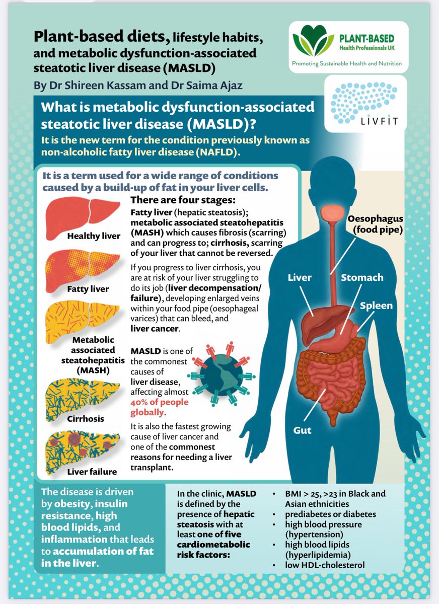 shireenkassam1's tweet photo. Excellent new factsheet from @plantbasedhpuk 

Fatty liver disease is a huge problem globally, yet it is entirely preventable and manageable using a plant-based lifestyle approach.

https://t.co/8FpPI1XTBm https://t.co/rQhvn42MAM