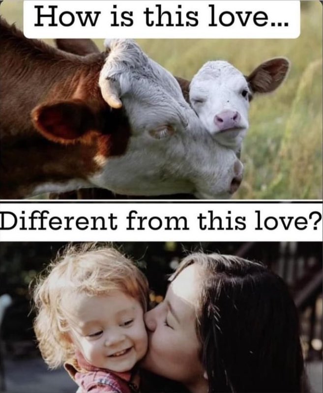 #ThoughtForTheDay What IS the difference? Love is love! Family is precious.