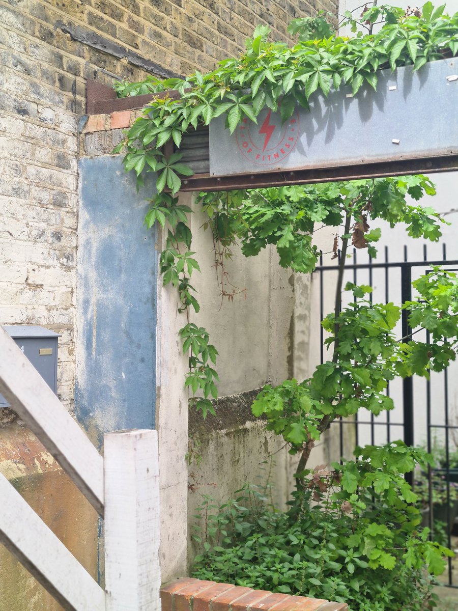Great meet up this morning with @ShareCommunity to start plotting the second alleyway, which will include a living wall, yes a living wall. This is a much bigger job... we have a lot to clear, a lot to paint and a lot of planting to figure out.